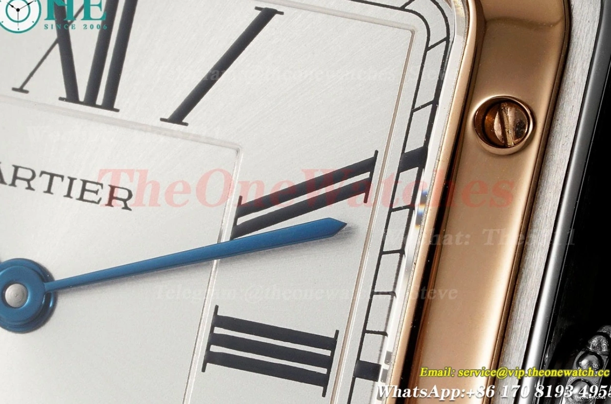 Dial Dumont Quartz Silver Santos Black AF LE RG 0204